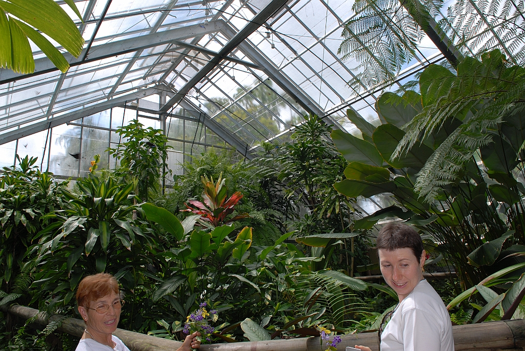 0668 Butterfly Sanctuary Kuranda.jpg